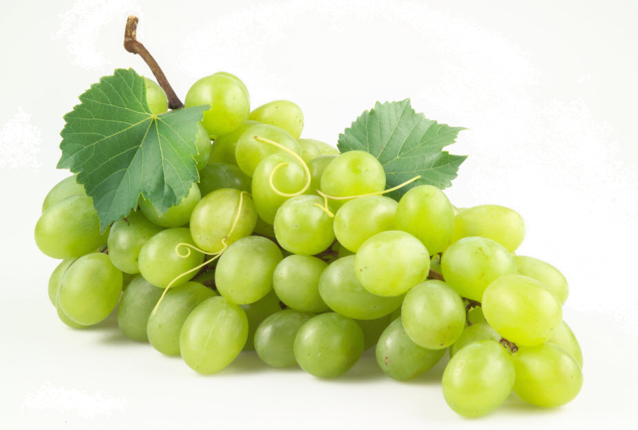 Asociación de productores de Pisco y Vino de la Región Lima