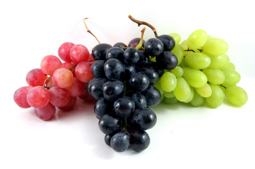Asociación de productores de Pisco y Vino de la Región Lima